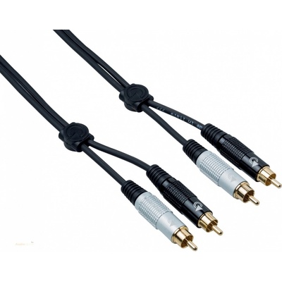 Bespeco EA2R300