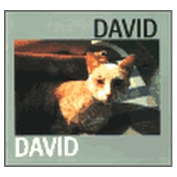 David