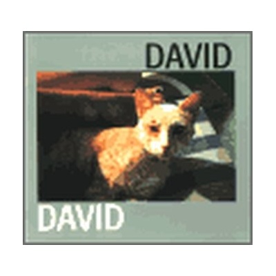 David