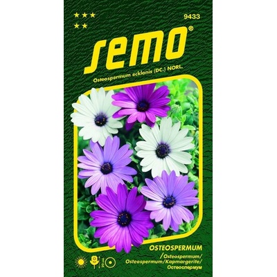 SEMO Osteospermum - směs Balade 0,30g