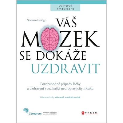 Váš mozek se dokáže uzdravit