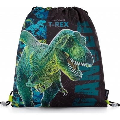 Karton P+P Premium Dinosaurus
