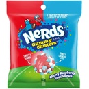 Nerds Gummy Clusters Cherry Raspberry Touchdown 113 g