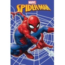 Fleecová deka SPIDER-MAN
