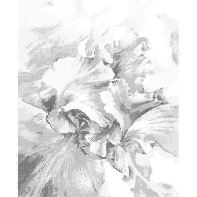 ZUTY Bodkovanie - MODRÉ KOSATCE Rámovanie: bez rámu a bez vypnutia plátna, Rozmer: 40x50 cm