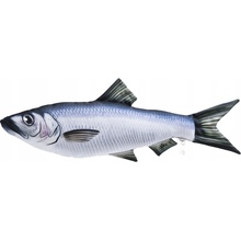 Gaby ryba mini sleď 37cm