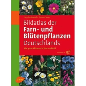Bildatlas der Farn- und Blütenpflanzen Deutschlands | Henning Haeupler, Thomas Muer (2007)