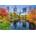 Dino - Puzzle Central Park - 500 piese
