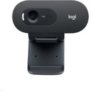 Logitech C505 HD Webcam
