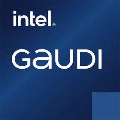Habana Intel Gaudi 32GB HBM2 HL-205