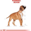 Royal Canin Boxer Puppy 12 kg