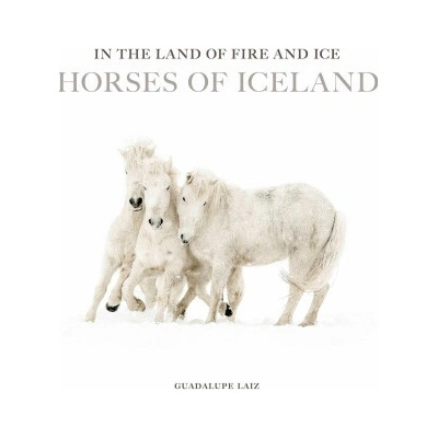 Horses of Iceland