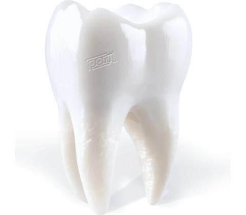Porij - Teething LP