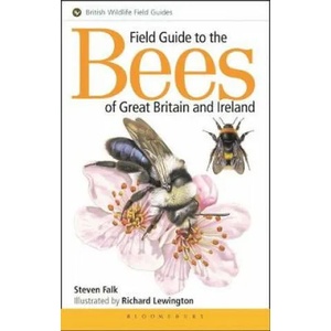 Field Guide to the Bees of Great Britain and Ireland (ISBN: 9781472967053)