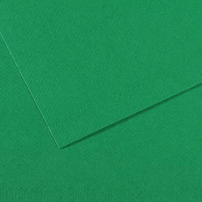 Canson Mi-Teintes barevný papír 21 x 29,7 cm A4 48 odstínů 575 Viridian