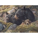 Cobble Hill Dvakrát tolik lásky 1000 dielov