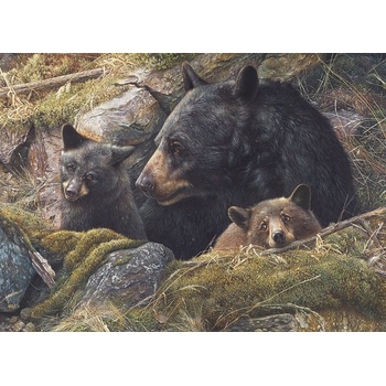 Cobble Hill Dvakrát tolik lásky 1000 dielov