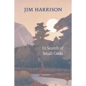 In Search of Small Gods (ISBN: 9781556593192)