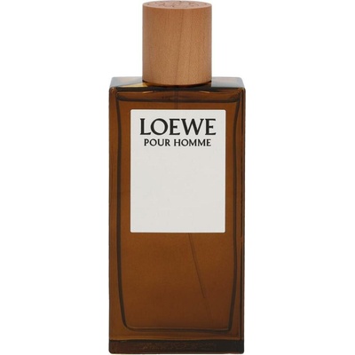 Loewe Pour Homme toaletná voda pánska 100 ml