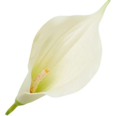 Umelá kala krémová 16 cm