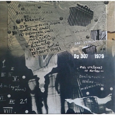 DG 307 - Dar stínům / Pták utrženej ze řetězu CLR LTD 4 LP