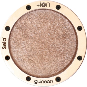 Sela Guinean Ion Cajon Íon (SE-ION5)