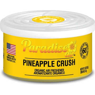 Paradise Air Organic Air Freshener Ananas 42 g