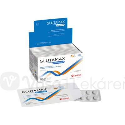 Glutamax Advanced Multiblister 120 tabliet