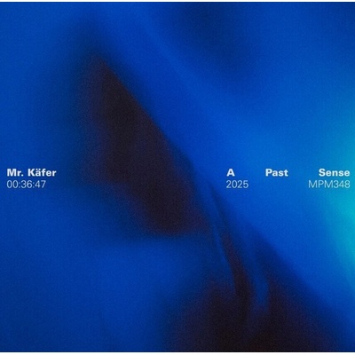 Mr. Käfer - A Past Sense (Orange Coloured) (LP) (0673793334814)