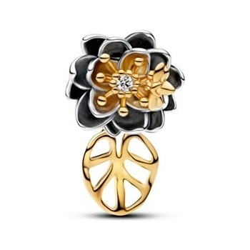 Pandora 764326C01