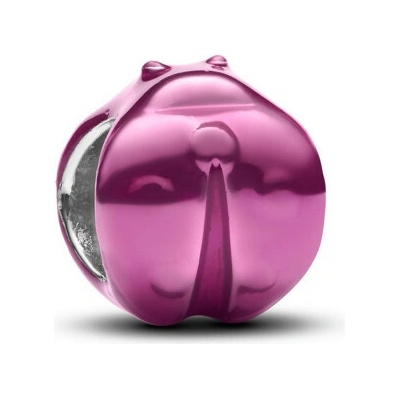 Pandora 794905c01
