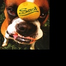 SNOT - GET SOME HQ LP