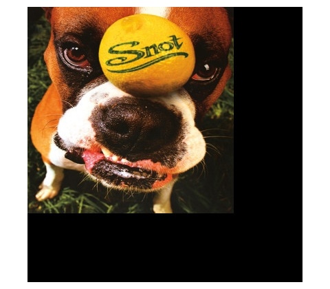 SNOT - GET SOME HQ LP