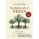 Hidden Life of Trees Wohlleben Peter
