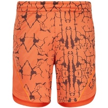 EA7 Man Woven shorts spice route