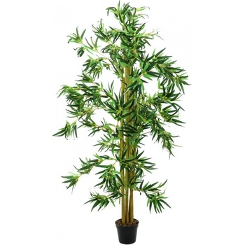Bambus multi kmen 150 cm
