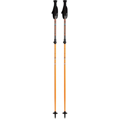 Blizzard RACE TELESCOPIC 2 SECTION 2018/19