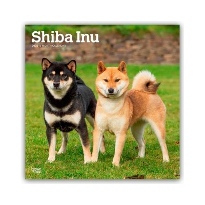 Browntrout Verlags GmbH Shiba Inu - Shiba 2026 - 16-Monatskalender | BrownTrout Publishers Inc