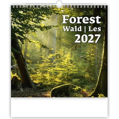 Les nástěnný 2027