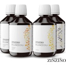 Ostatné doplnky stravy Zinzino BalanceOil+ olej vysoký obsah Omega-3 EPA + DHA mastných kyselín Grapefruit Citrón Limetka 300 ml
