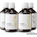 Zinzino BalanceOil+ olej vysoký obsah Omega-3 (EPA + DHA) mastných kyselín Príchuť: Grapefruit Citrón Limetka 300 ml