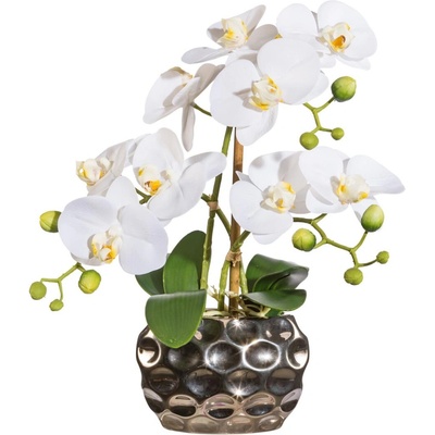 Gasper Gasper Orchidea x3, približne 30 cm biela, v oválnej váze