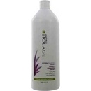 Šampóny Matrix Biolage Hydrasource Shampoo 1000 ml