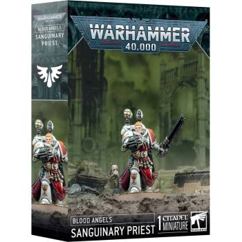 Games Workshop Sanguinary Priest (41-48)