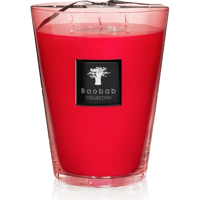 Baobab Collection All Seasons Maasaï Spirit Ароматна свещ, 24 см (MAX24AMS)