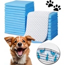 Plienky a absorpčné podložky pre psov Purlov 21601 Tréningové absorpčné podložky pre psov 60 x 60 cm 100 ks
