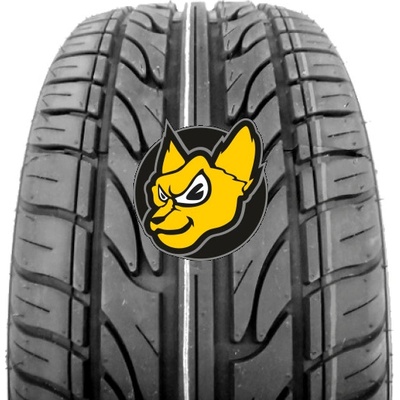 Haida HD921 225/30 R22 87W