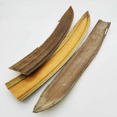 Přírodní sušený list BOAT NAT. 40–60 cm (balení 12 ks))