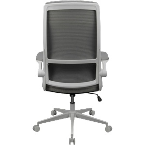 COUGAR COUGAR Stryder White Gaming Chair (CGR-STD-ASW) - technomall
