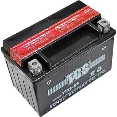 TCS AGM 9Ah left+ (YTX9-BS)